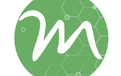 PLU – MODIFICATION n°2