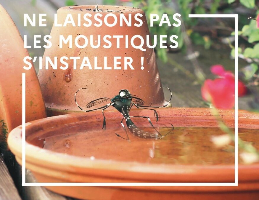 ACTIVATION DU DISPOSITIF DE SURVEILLANCE ET DE LUTTE CONTRE LES MALADIES TRANSMISES PAR LE MOUSTIQUE TIGRE / COMMUNIQUÉ DE PRESSE