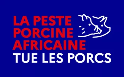 PESTE PORCINE AFRICAINE