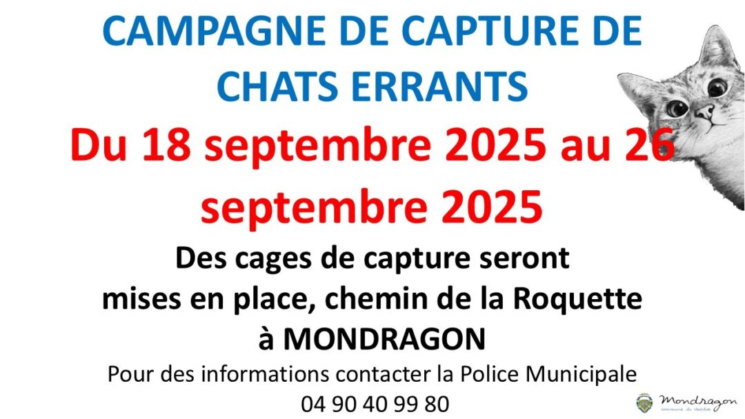 CAMPAGNE DE CAPTURE DE CHATS ERRANTS MONDRAGON