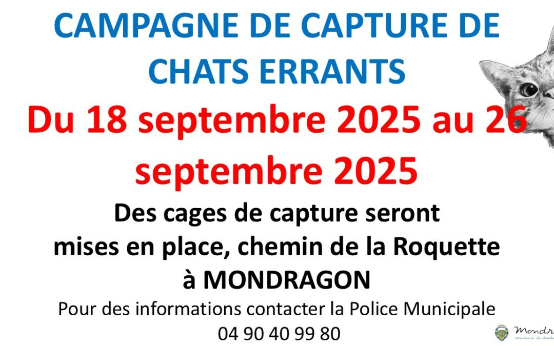 CAMPAGNE DE CAPTURE DE CHATS ERRANTS MONDRAGON