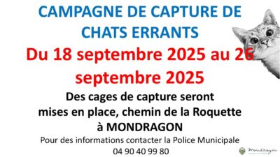 CAMPAGNE DE CAPTURE DE CHATS ERRANTS MONDRAGON