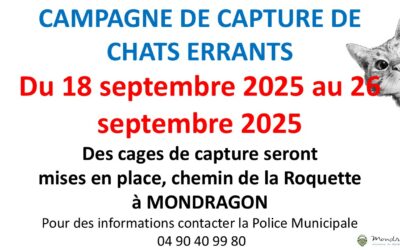 CAMPAGNE DE CAPTURE DE CHATS ERRANTS MONDRAGON