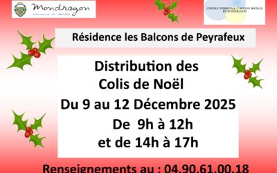 DISTRIBUTION DES COLIS DE NOËL – RÉSIDENCE LES BALCONS DE PEYRAFEUX
