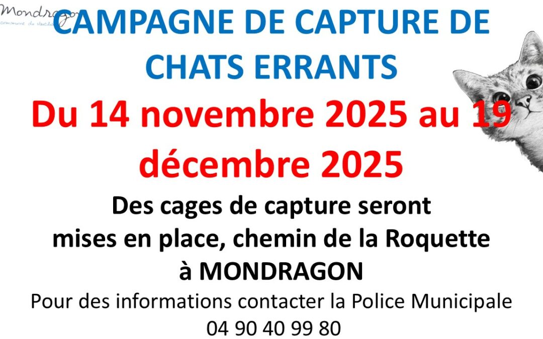 CAMPAGNE DE CAPTURE DE CHATS ERRANTS