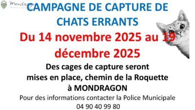 CAMPAGNE DE CAPTURE DE CHATS ERRANTS