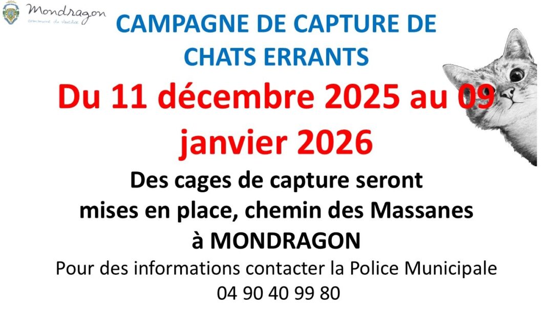 CAMPAGNE DE CAPTURE DE CHATS ERRANTS