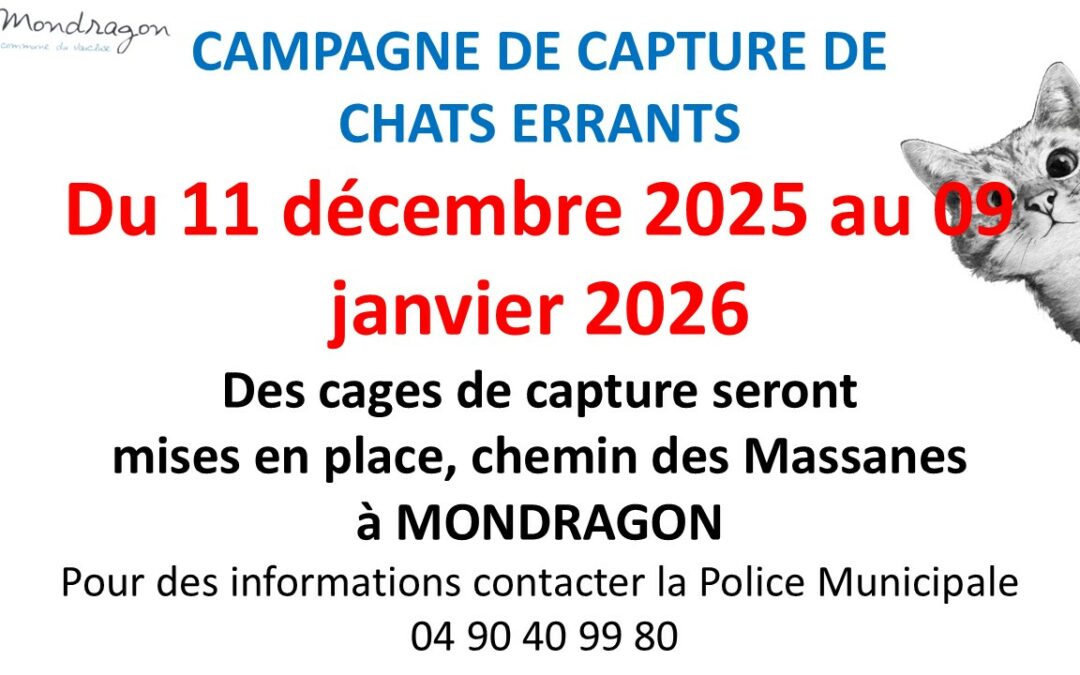 CAMPAGNE DE CAPTURE DE CHATS ERRANTS