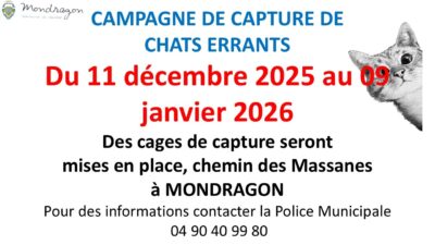 CAMPAGNE DE CAPTURE DE CHATS ERRANTS