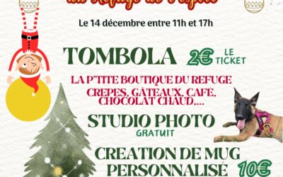 LE NOËL DES ANIMAUX DU REFUGE DE L’ESPOIR