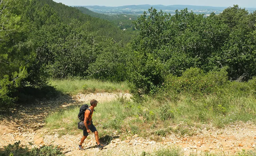 CIRCUIT DE VACHÈRES (MONDRAGON)