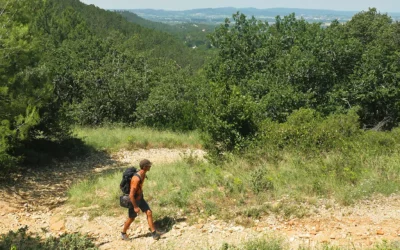 CIRCUIT DE VACHÈRES (MONDRAGON)