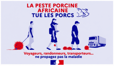 CAMPAGNE DE PRÉVENTION – PESTE PORCINE AFRICAINE